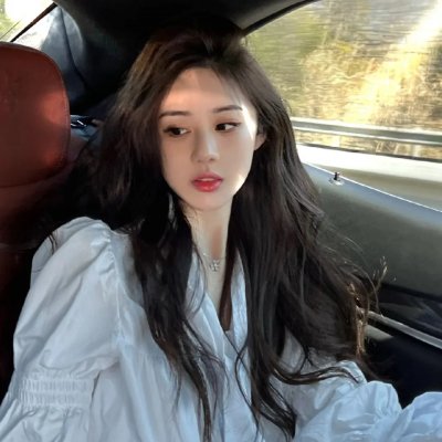 消失的大象